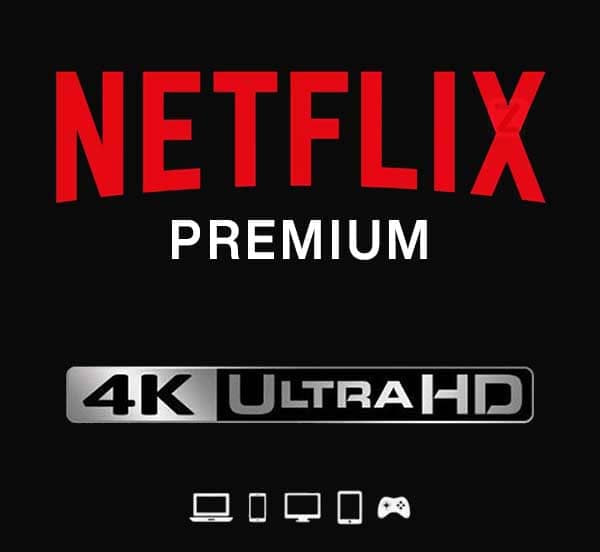 Netflix 1 Month Shared Profile