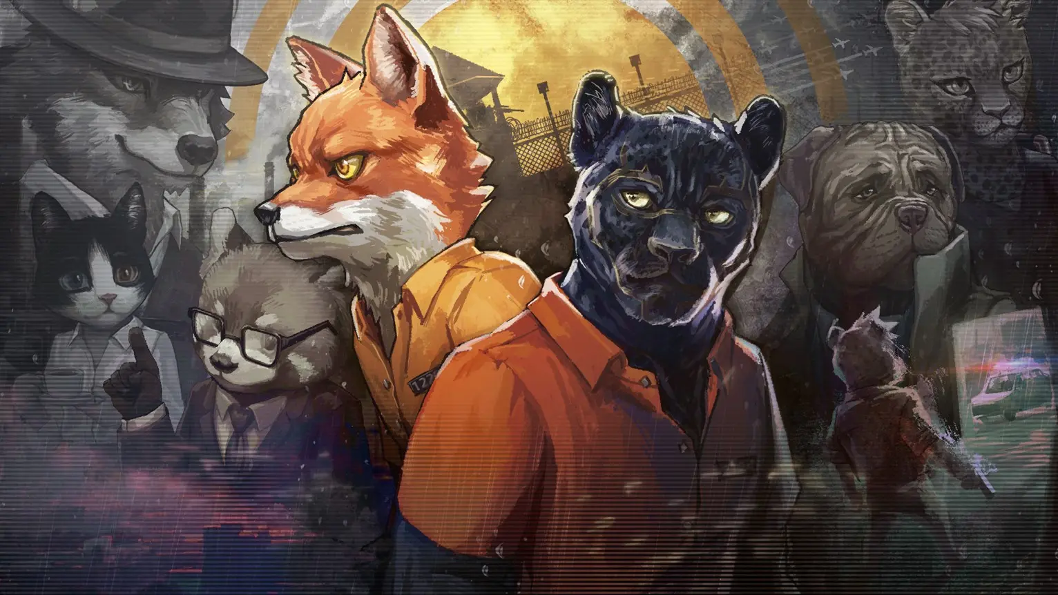 Back to the Dawn - Shared Account