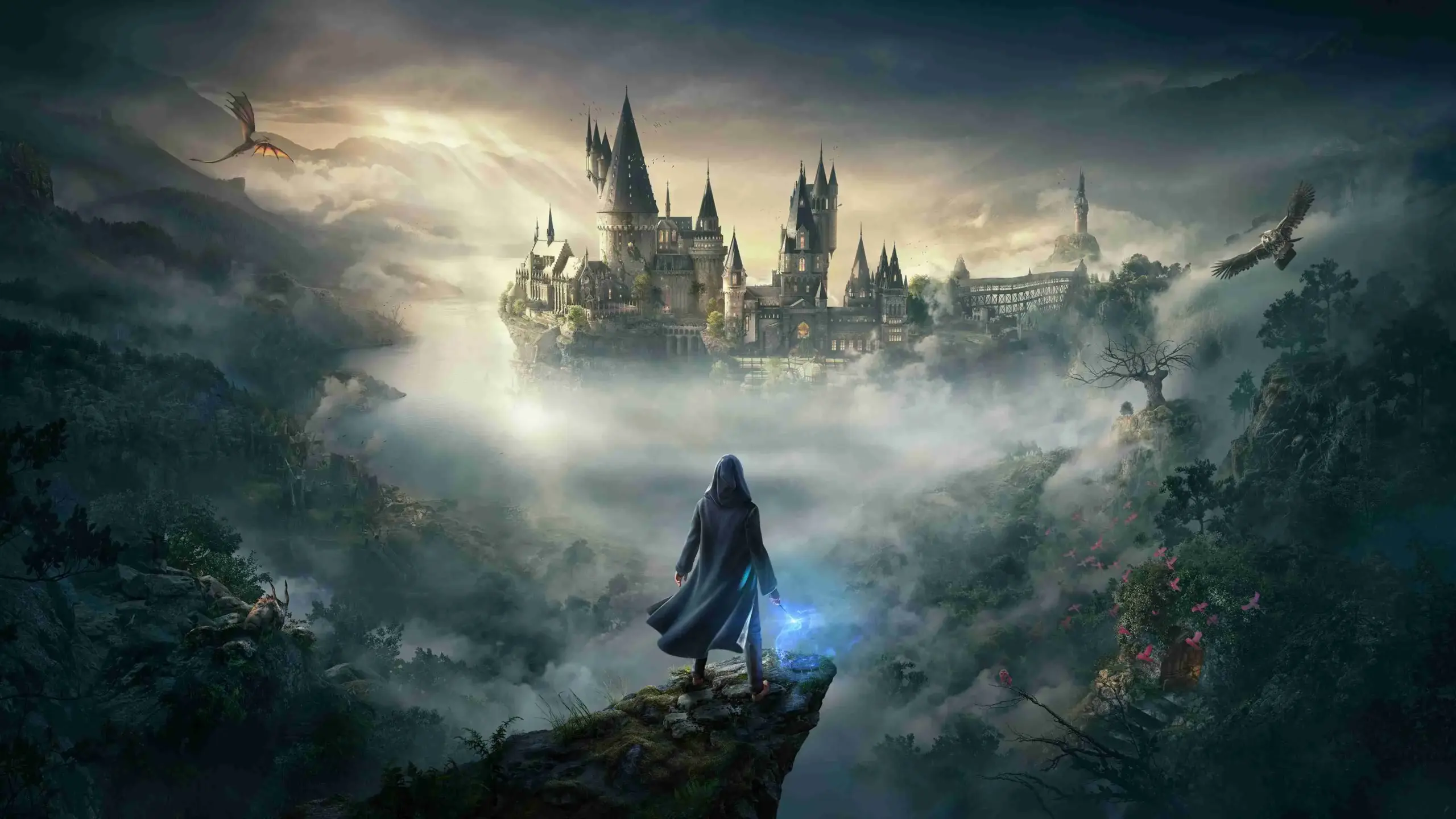 Hogwarts Legacy - Shared Account