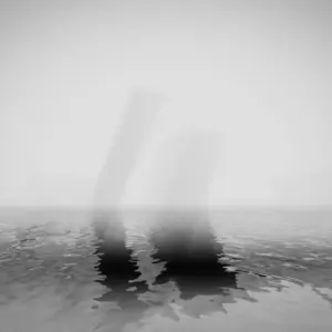 S (itch) - Shared Account