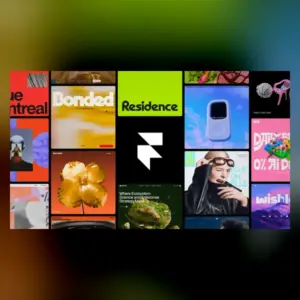 Framer official subscription artwork portrait