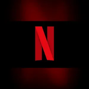 Netflix official subscription artwork portrait